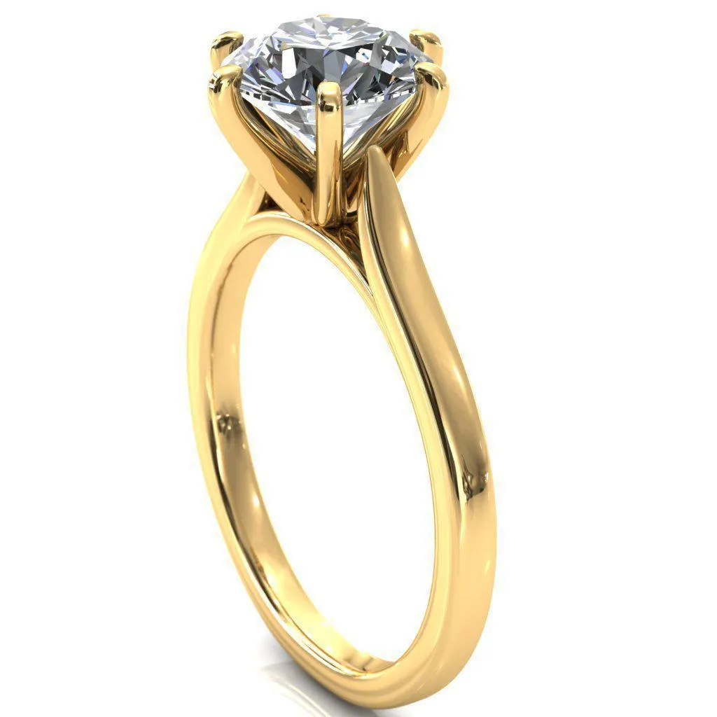 Darci Round Lab-Grown Diamond Center Stone 6 Prong Cathedral Solitaire Engagement Ring