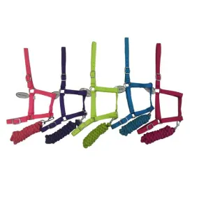 Vivid Coloured Club Halter and Lead